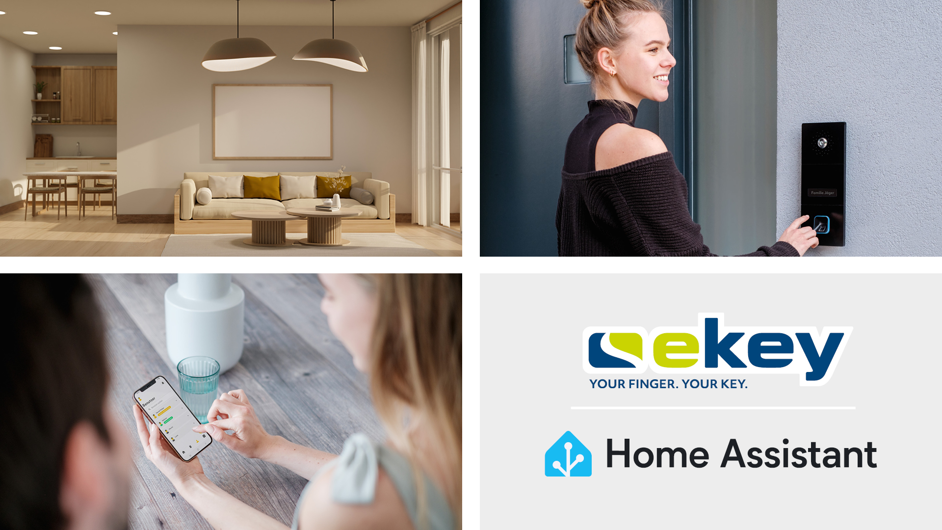 25_11_Home_Assistant6